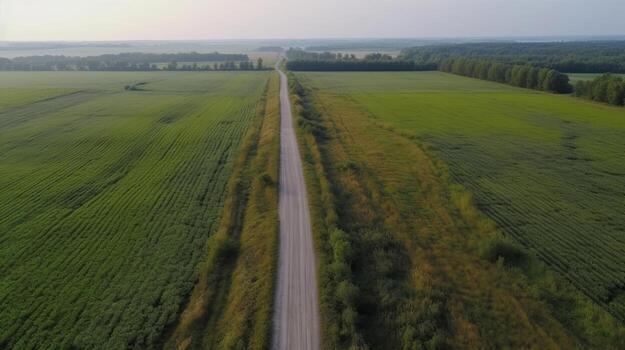 Wind airborne see - primitive street in summer. photo