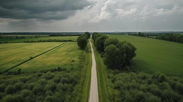 Wind airborne see - primitive street in summer. photo