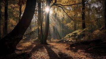 aturdido escena de un reunir hora bosque con rayos de sol entrando mediante el sucursales. ai generado foto