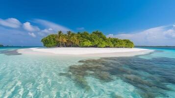 tropical Maldives island with white sandy shoreline and sea. palm. photo