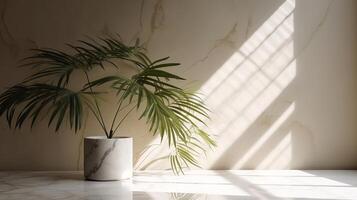 Inadequate beige cotton tablecloth on counter table, tropical dracaena tree in sunshine on white divider establishment. photo