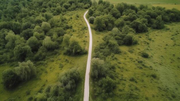 Wind airborne see - primitive street in summer. photo