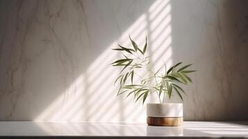 Delicate beige cotton tablecloth on counter table, tropical dracaena tree in daylight on white divider foundation. photo