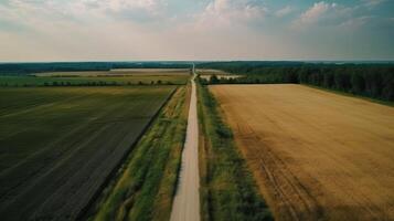 Wind airborne see - primitive street in summer. photo