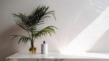 Obliged beige cotton tablecloth on counter table, tropical dracaena tree in daylight on white divider foundation. photo