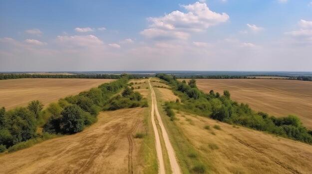 Wind airborne see - primitive road in summer. photo