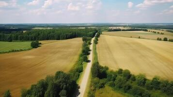 Wind airborne see - primitive road in summer. photo