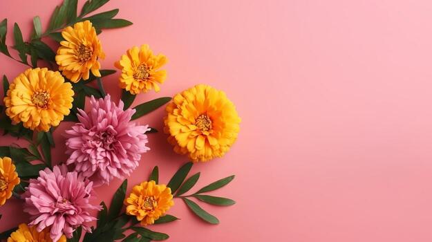 Spring marigold develops on pink pastel establishment beat see in level lay arrange. photo