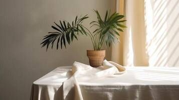 Delicate beige cotton tablecloth on counter table, tropical dracaena tree in daylight on white divider foundation. photo