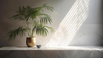 Obliged beige cotton tablecloth on counter table, tropical dracaena tree in sunshine on white divider establishment. photo
