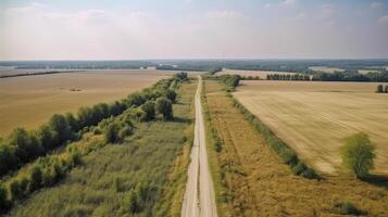 Wind airborne see - primitive road in summer. photo