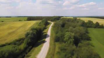 Wind airborne see - primitive street in summer. photo