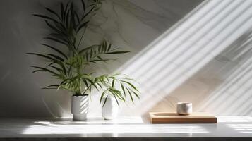 Touchy beige cotton tablecloth on counter table, tropical dracaena tree in daylight on white divider foundation. photo