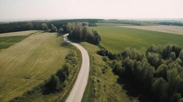 Wind airborne see - primitive street in summer. photo
