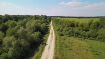 Wind airborne see - primitive street in summer. photo