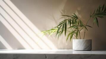 Separated beige cotton tablecloth on counter table, tropical dracaena tree in sunshine on white divider establishment. photo