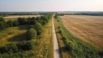 Wind airborne see - primitive road in summer. photo