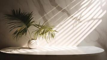 Dubious beige cotton tablecloth on counter table, tropical dracaena tree in daylight on white divider foundation. photo
