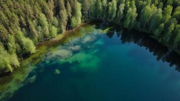 Airborne see of blue water lake and green summer woods in Finland. Creative resource, photo