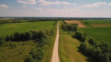 Wind airborne see - primitive road in summer. photo