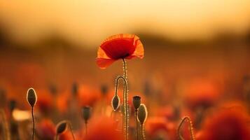 amapola flor antecedentes. ilustración ai generativo foto