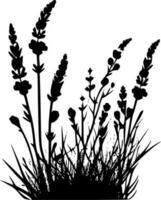 lavanda - negro y blanco aislado icono - vector ilustración