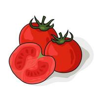 Tomato vector illustration, tropical organic market concept colorful summer sale vitamint market detail fresh