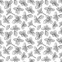 italian herbs pattern vector