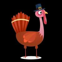 Turkey cartoon bird. Vector illustration isolated white background