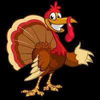 Cartoon turkey bird. Thanksgiving vector illustration isolated on white background