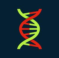 Genetic code icon isolated molecule DNA structure vector