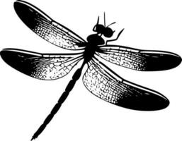 libélula - alto calidad vector logo - vector ilustración ideal para camiseta gráfico