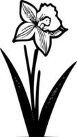 Daffodil - Black and White Isolated Icon - Vector illustration