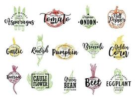 Vegetable farm food sketch lettering vector