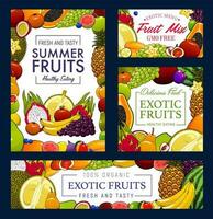 GMO free organic garden and tropic fruits harvest vector