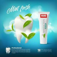 Mint toothpaste, realistic green leaves and tooth vector