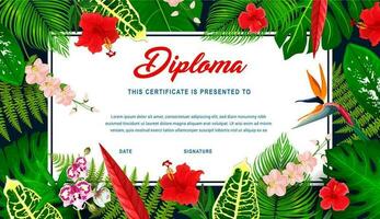 Kids diploma with tropical plants and flowers vector