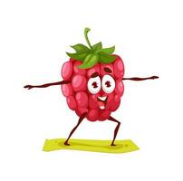Cartoon raspberry berry character in yoga pose vector