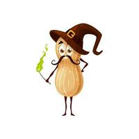 Peanut groundnut wizard character with magic wand vector