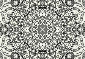 Vector Mandala Coloring Page. Mandala illustration for coloring book.
