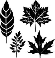 Leaves - High Quality Vector Logo - Vector illustration ideal for T-shirt graphic