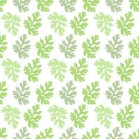 Green coriander leaves pattern on white background, flat vector. vector