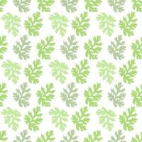 Green coriander leaves pattern on white background, flat vector. vector