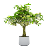 Yemeni Rial tree. 3d rendering of Money on tree isolated on transparent background. financial growth png