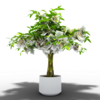 Moldovan leu tree. 3d rendering of Money on tree isolated on transparent background. financial growth png