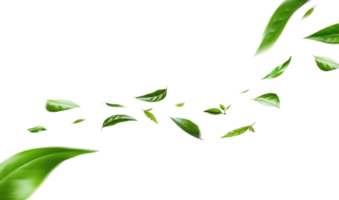 fliegend Grün Blätter auf transparent Hintergrund. frisch Frühling Laub. Umgebung und Ökologie Hintergrund png