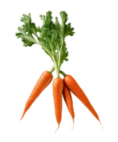 carota. mucchio di verdura isolato su trasparente sfondo png file