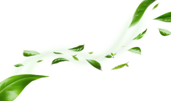 fliegend Grün Blätter auf transparent Hintergrund. frisch Frühling Laub. Umgebung und Ökologie Hintergrund png