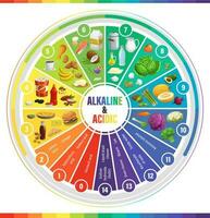 Round PH scale indicators chart of acids balance vector