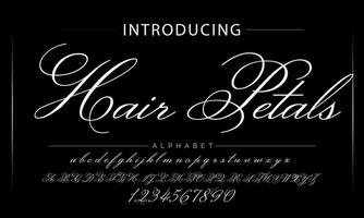 Hand drawn calligraphic vector monoline font. Distress signature letters. Modern script calligraphy type. ABC typography latin signature alphabet.